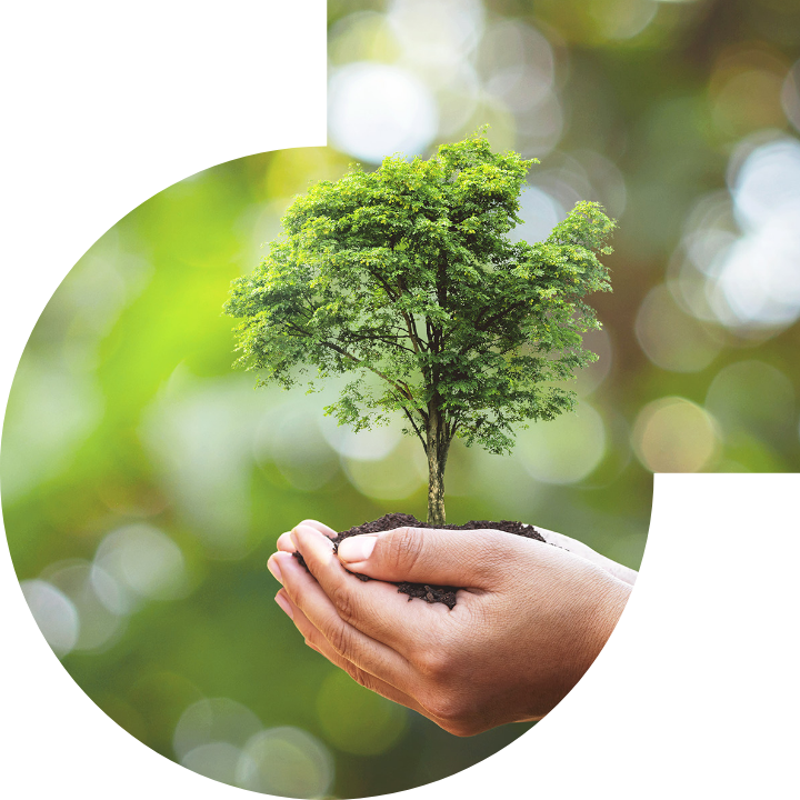 关怀人类、文化、环境与社会